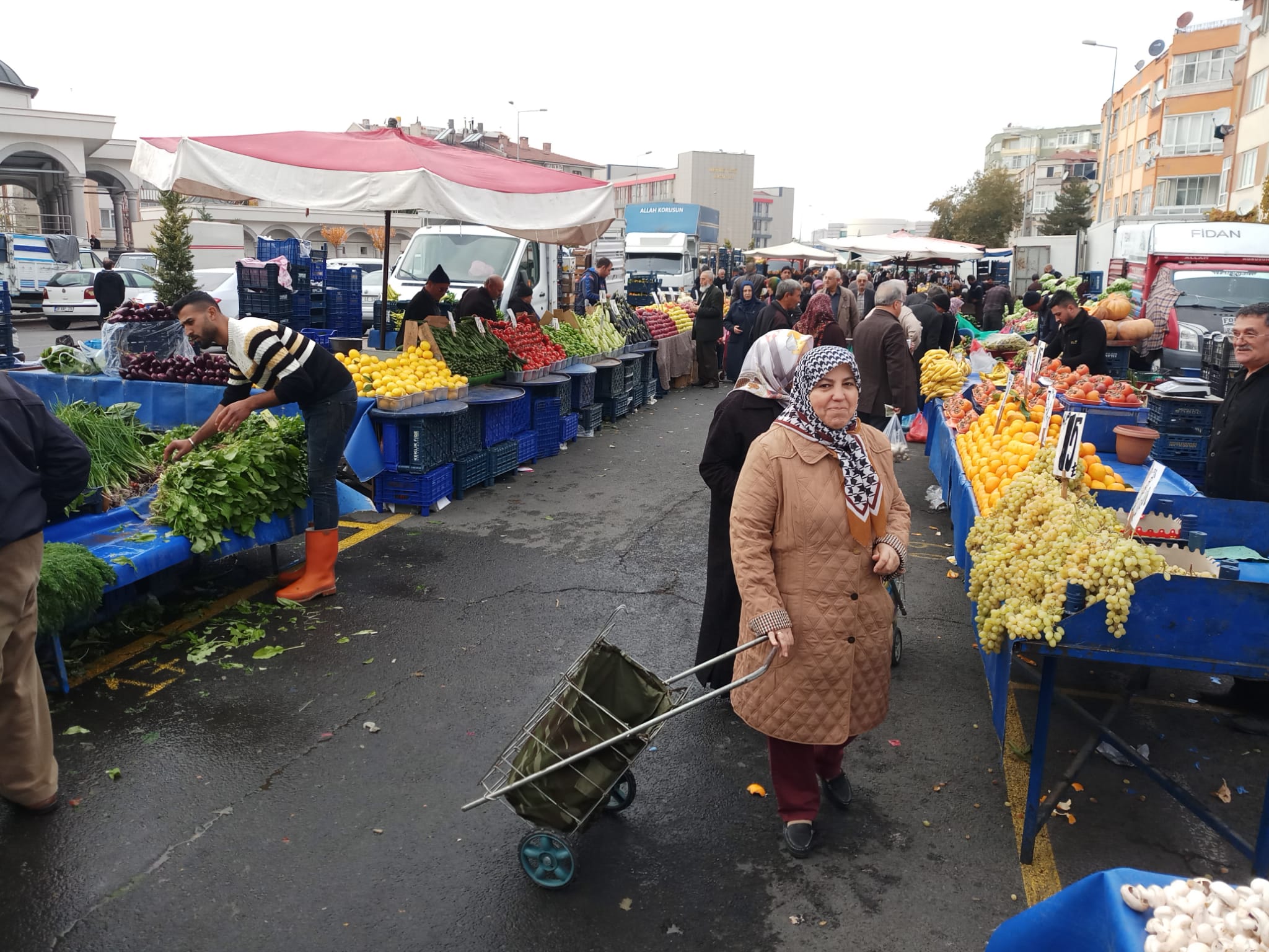 Pazarın zam şampiyonu: Yeşil fasulye