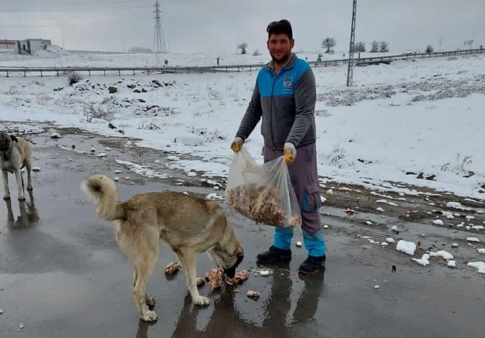 BÜTÇELERİNDEN ALDIKLARI GIDALARLA SOKAK HAYVANLARINI BESLİYORLAR